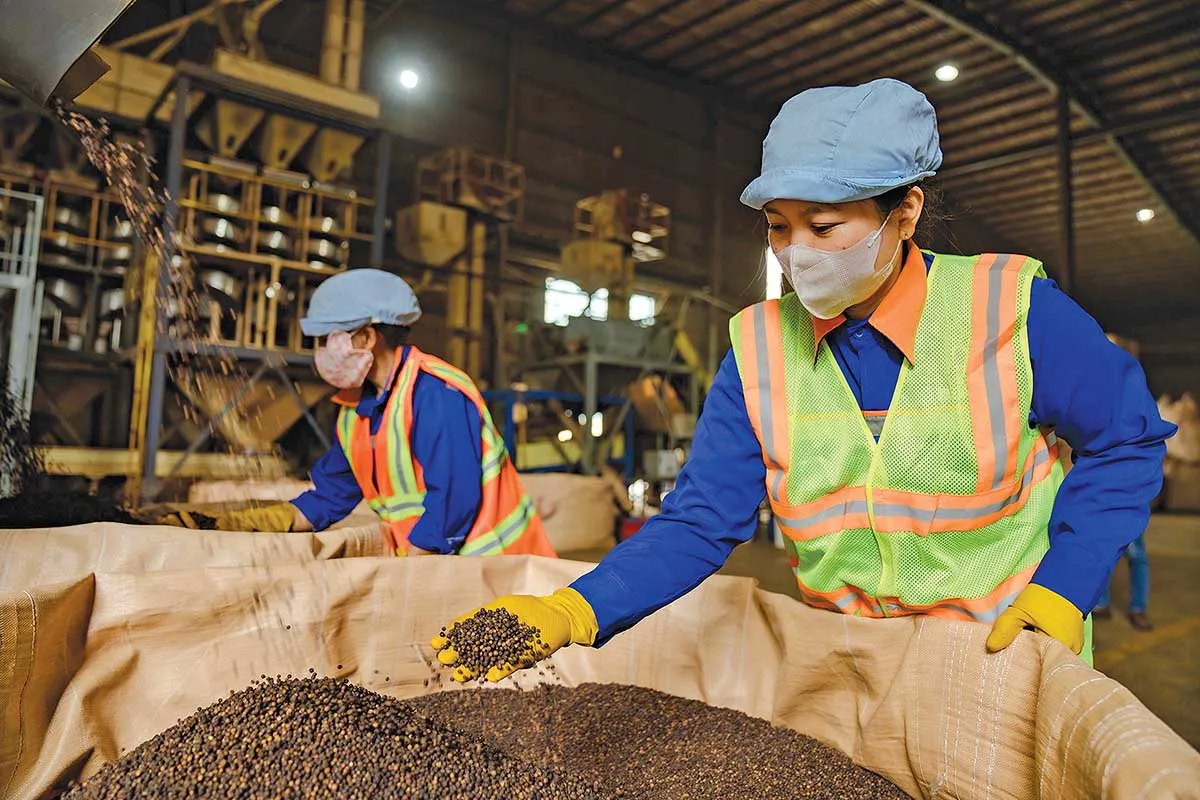 Doanh nghiệp xoay xở trước &aacute;p lực chi ph&iacute; leo thang- Ảnh 1.