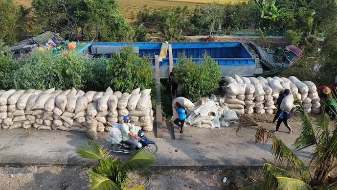 Xuất khẩu gạo: cần giải ph&aacute;p &lsquo;nu&ocirc;i dưỡng&rsquo; nguồn h&agrave;ng qua giai đoạn kh&oacute;- Ảnh 2.