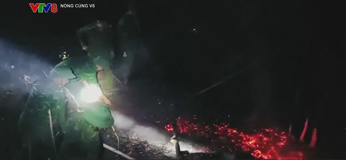 Báo động đỏ cháy rừng tại miền Trung và Tây Nguyên- Ảnh 2. Báo động đỏ cháy rừng tại miền Trung và Tây Nguyên- Ảnh 2.