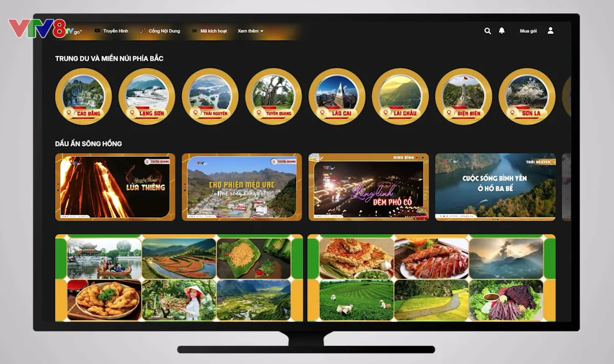 VTVgo và VTV8: Chiến lược hệ thống hóa kho dữ liệu quốc gia- Ảnh 2. VTVgo và VTV8: Chiến lược hệ thống hóa kho dữ liệu quốc gia- Ảnh 2.