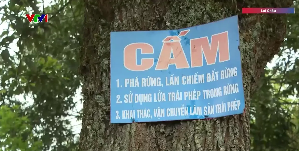 Triển khai các biện pháp phòng cháy, chữa cháy rừng trong cao điểm nắng nóng - Ảnh 1.