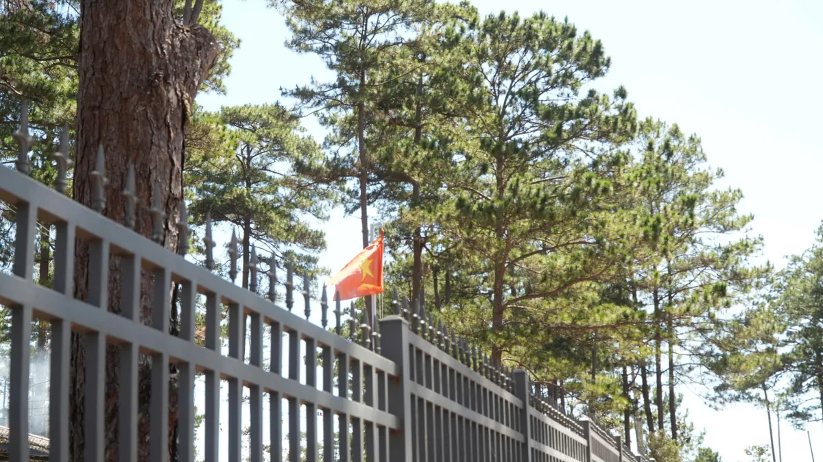 Mất rừng v&agrave; hệ lụy an ninh trật tự: Kh&ocirc;ng thể n&eacute; tr&aacute;nh tr&aacute;ch nhiệm- Ảnh 4.