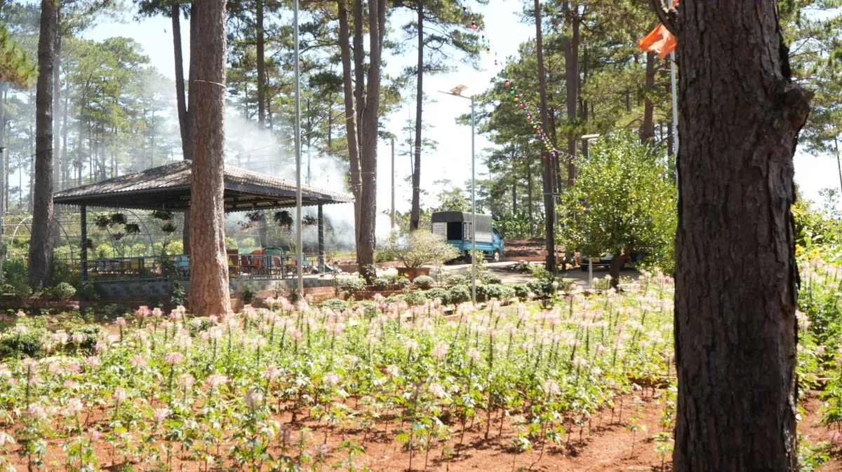 Mất rừng v&agrave; hệ lụy an ninh trật tự: Kh&ocirc;ng thể n&eacute; tr&aacute;nh tr&aacute;ch nhiệm- Ảnh 3.