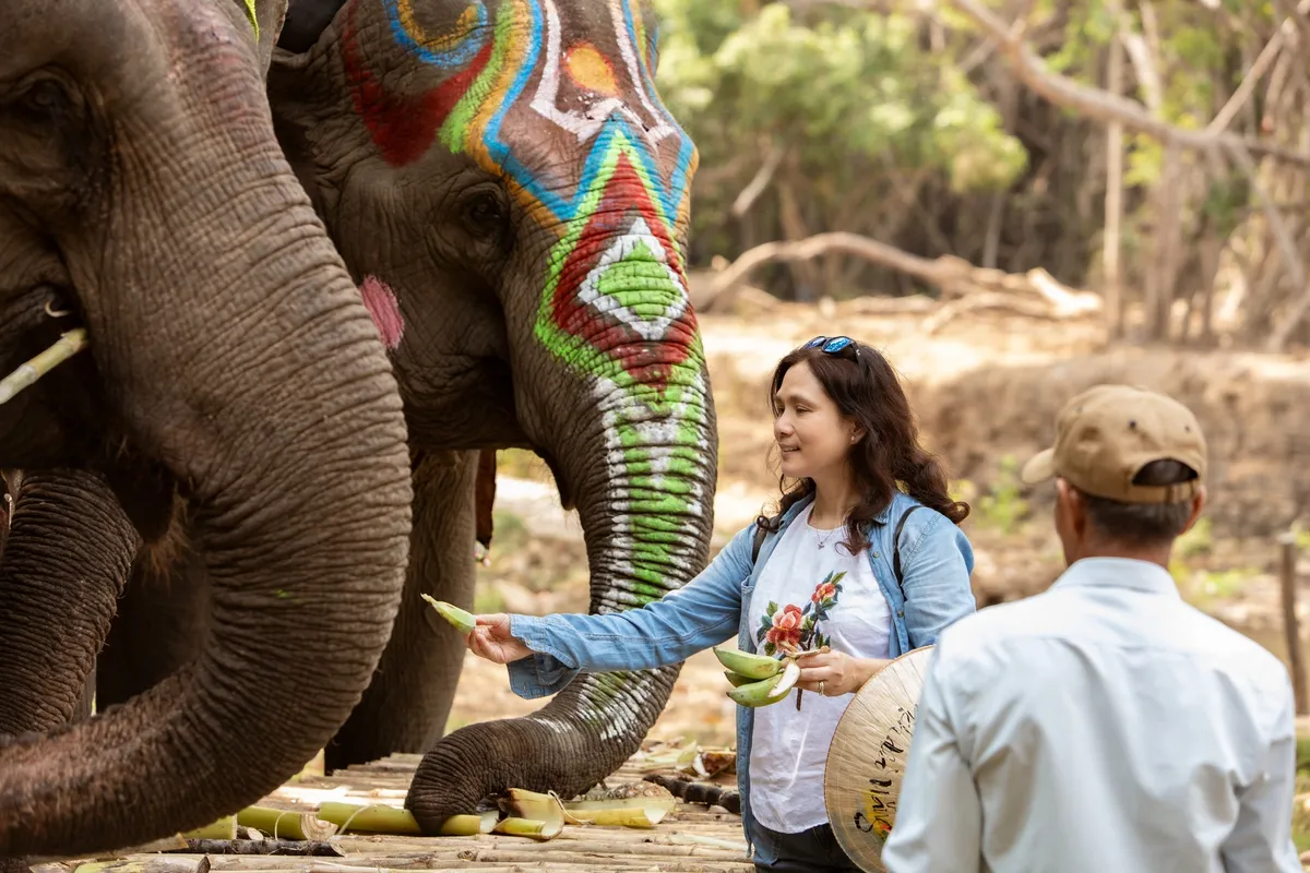 Bu&ocirc;n Đ&ocirc;n chuyển m&igrave;nh: Dừng cưỡi voi, mở lối du lịch bền vững- Ảnh 3.