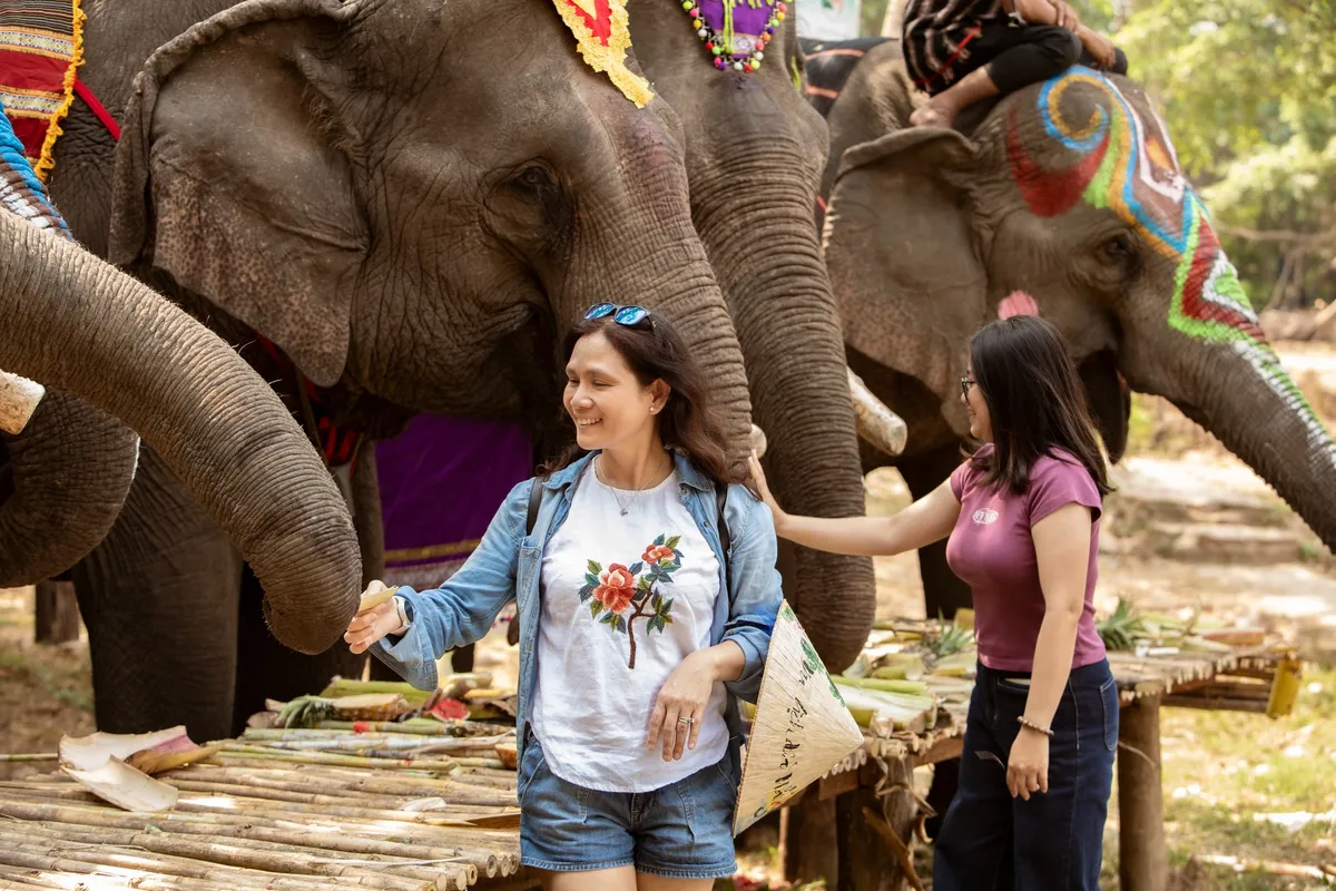 Bu&ocirc;n Đ&ocirc;n chuyển m&igrave;nh: Dừng cưỡi voi, mở lối du lịch bền vững- Ảnh 2.