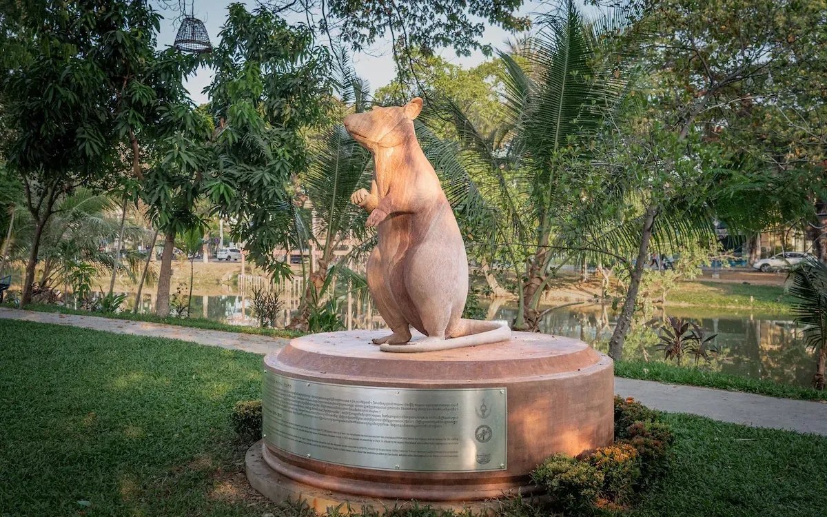 Tượng chuột Magawa được dựng và ra mắt trước Ngày Quốc tế nâng cao nhận thức về bom mìn. (Ảnh: Apopo)