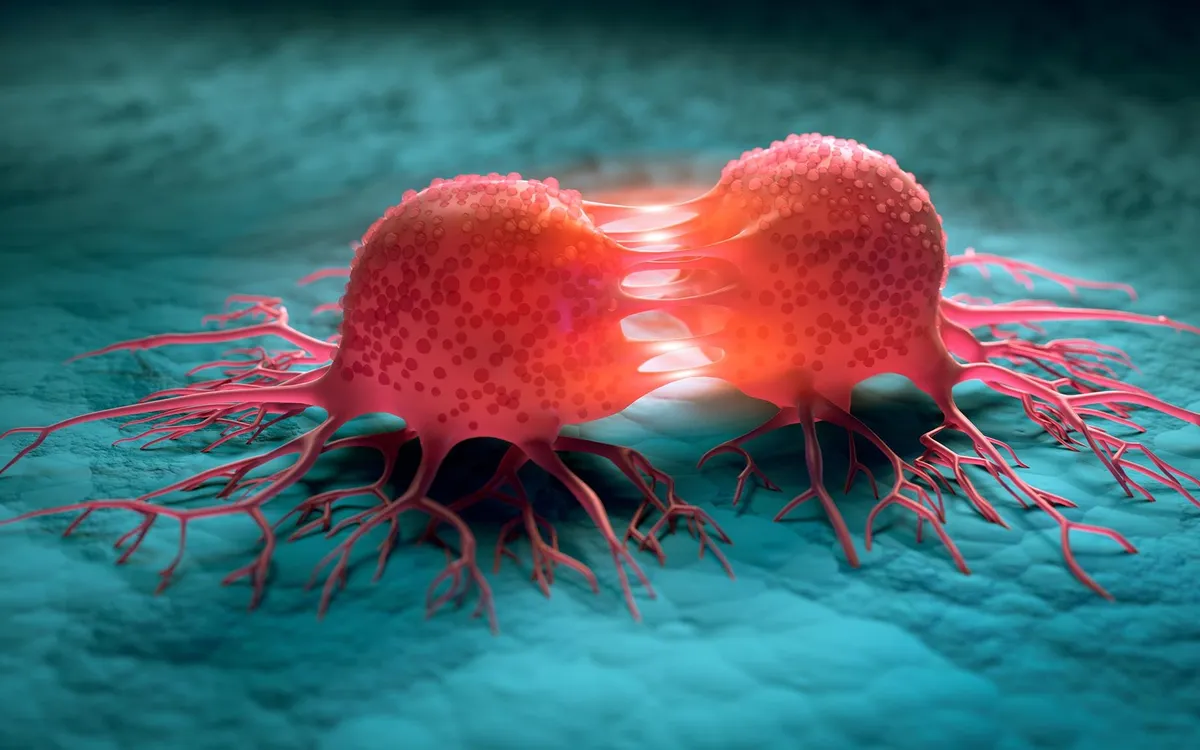 (Ảnh: Shutterstock)