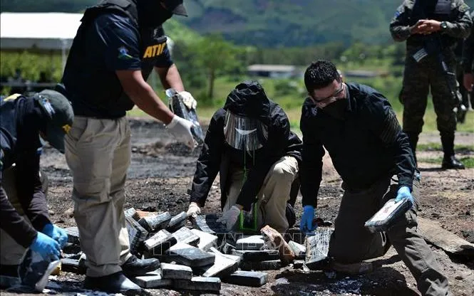 Cảnh sát chuẩn bị thiêu hủy số cocaine thu giữ được tại Tegucigalpa, Honduras, Colombia. (Ảnh minh họa: AFP/TTXVN)