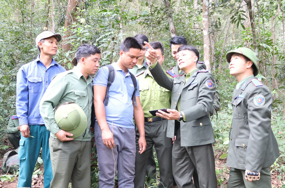 Điện Bi&ecirc;n: Bảo vệ rừng từ sớm, từ xa - Ảnh 2.