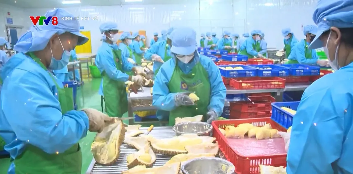 Xuất khẩu n&ocirc;ng, l&acirc;m, thủy sản tăng trưởng 6%- Ảnh 1.