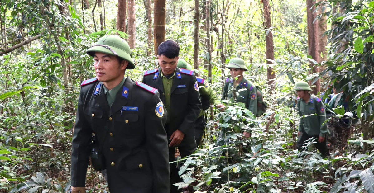 Điện Bi&ecirc;n: Bảo vệ rừng từ sớm, từ xa - Ảnh 6.