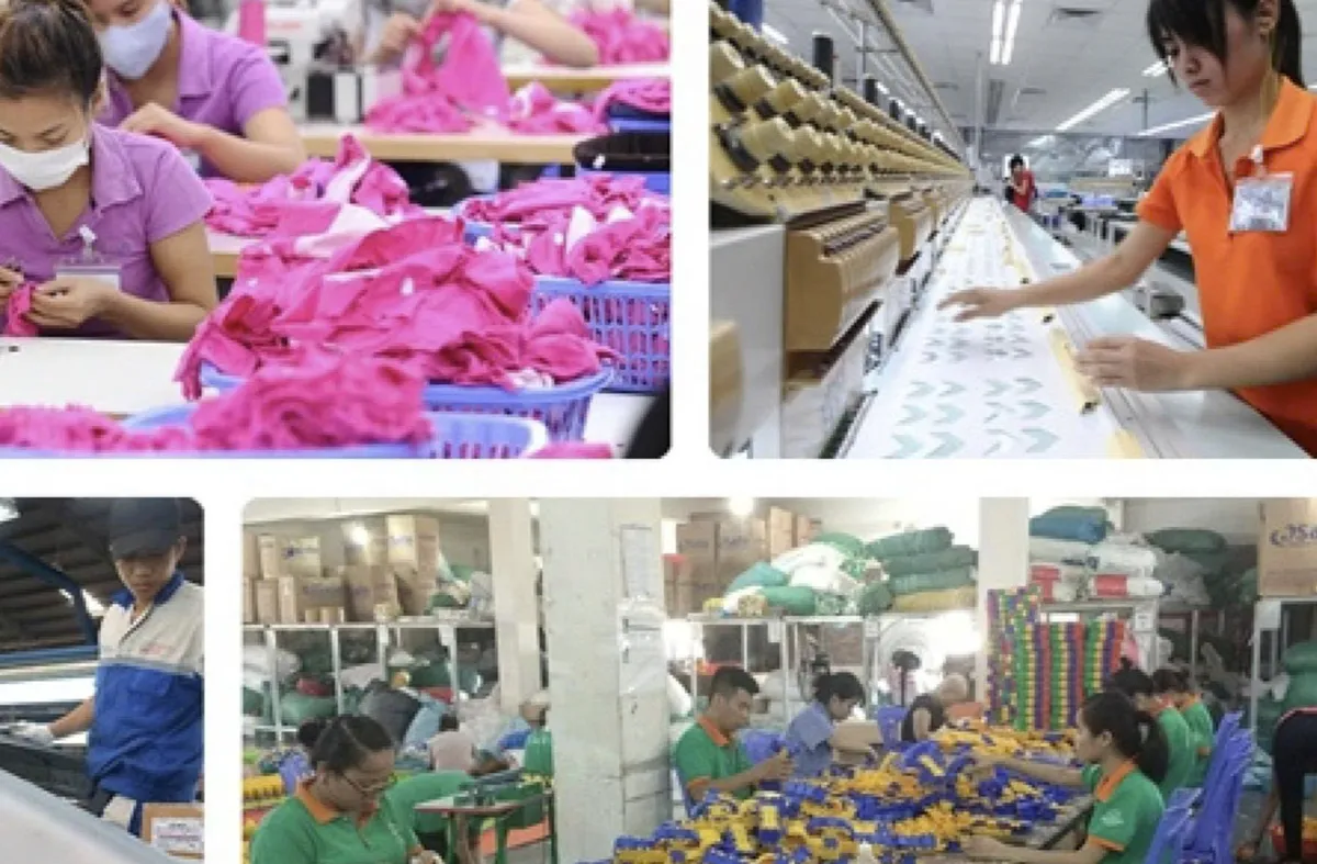 WB đánh giá Việt Nam là điển hình về khả năng biến thách thức thành cơ hội- Ảnh 1. WB đánh giá Việt Nam là điển hình về khả năng biến thách thức thành cơ hội- Ảnh 1.