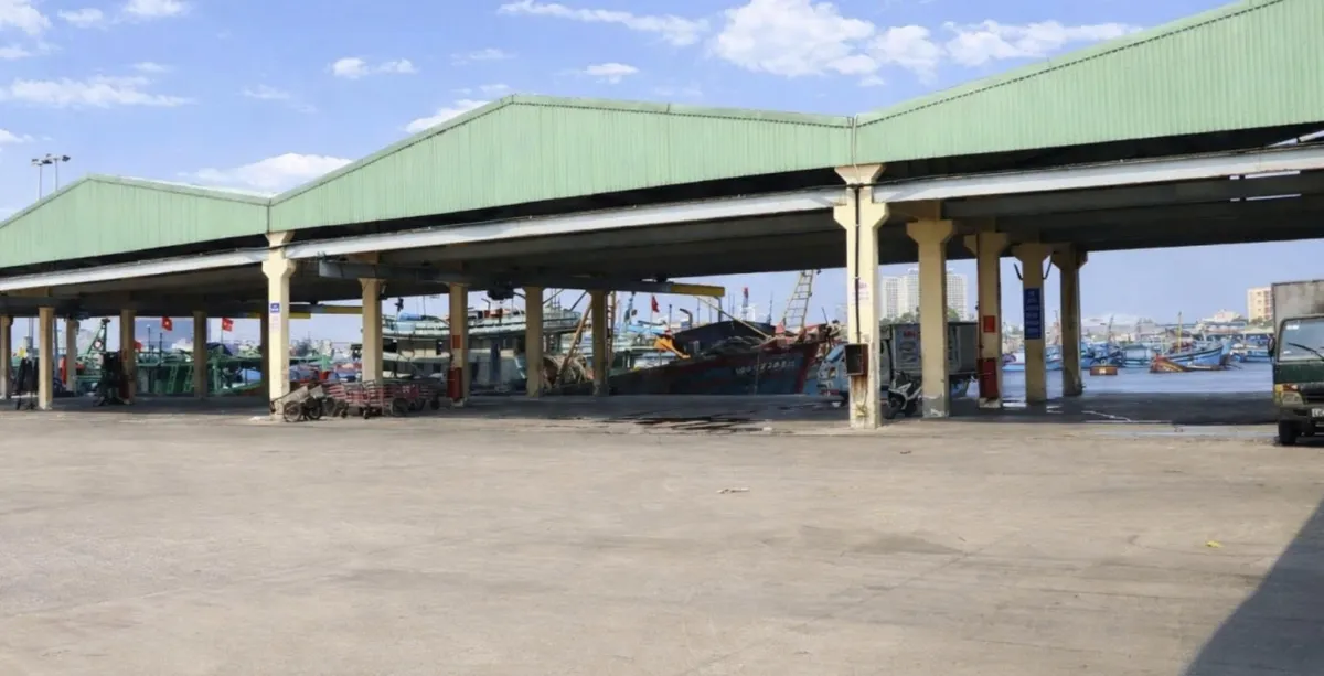 Đ&agrave; Nẵng t&aacute;i định h&igrave;nh hạ tầng nghề c&aacute; trong kh&ocirc;ng gian ph&aacute;t triển mới- Ảnh 4.