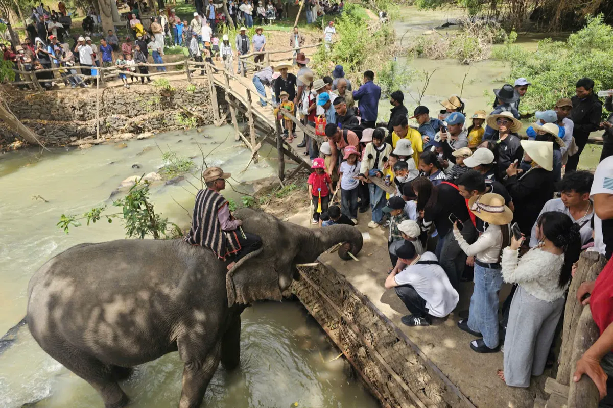 Bu&ocirc;n Đ&ocirc;n chuyển m&igrave;nh: Dừng cưỡi voi, mở lối du lịch bền vững- Ảnh 1.