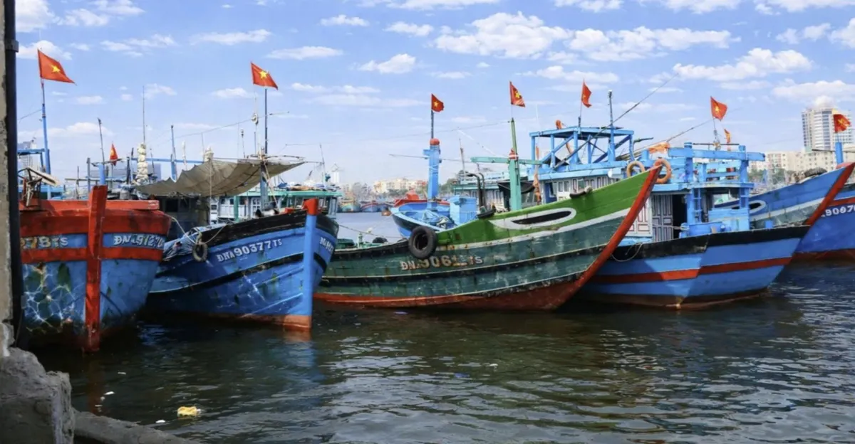 Đ&agrave; Nẵng t&aacute;i định h&igrave;nh hạ tầng nghề c&aacute; trong kh&ocirc;ng gian ph&aacute;t triển mới- Ảnh 3.