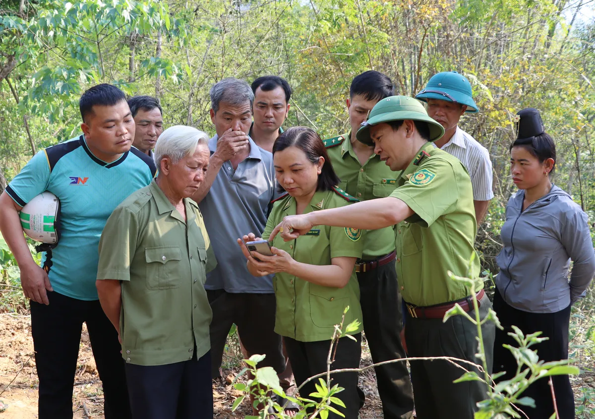 Điện Bi&ecirc;n: Bảo vệ rừng từ sớm, từ xa - Ảnh 1.