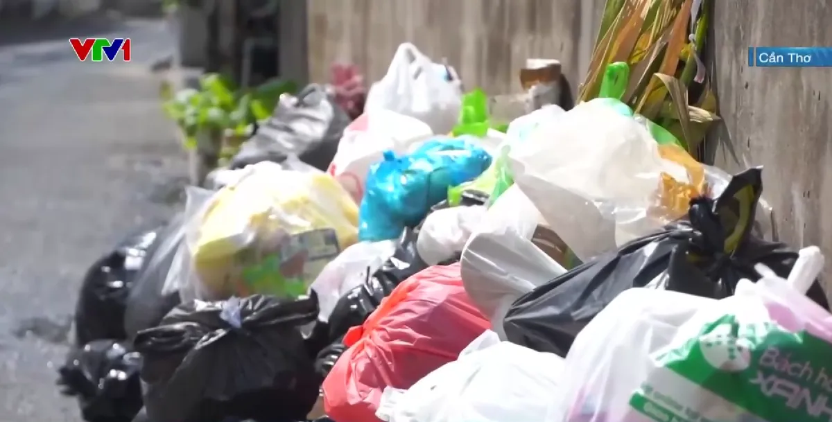 Cần Thơ: Khẩn trương thu gom, xử l&yacute; dứt điểm r&aacute;c thải tồn đọng trong khu d&acirc;n cư - Ảnh 1.
