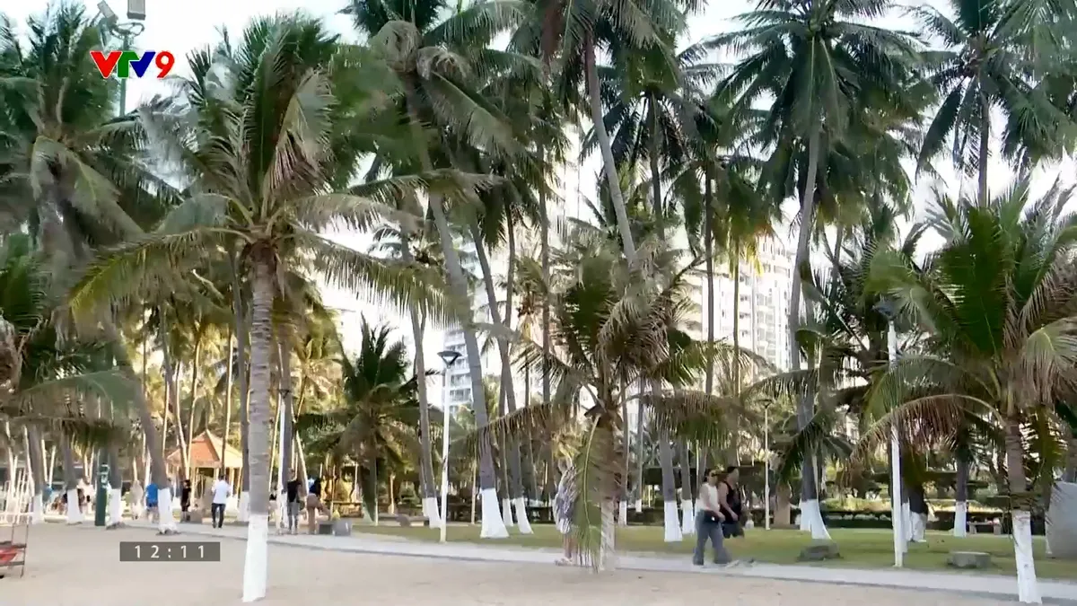 Sequence 04.00_12_01_18.Still010.jpg