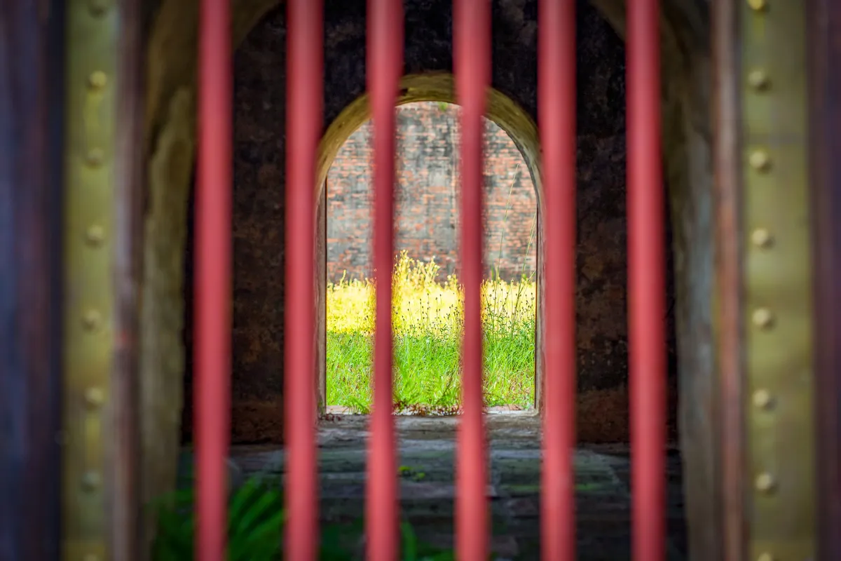 Hổ Quyền - đấu trường voi hổ v&agrave; dấu ấn quyền lực triều Nguyễn- Ảnh 8.