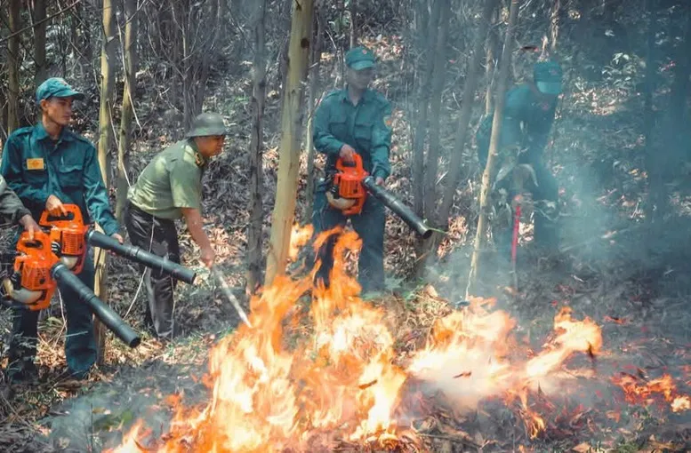 Hơn 3.500 x&atilde;, phường c&oacute; nguy cơ ch&aacute;y rừng cao - Ảnh 1.