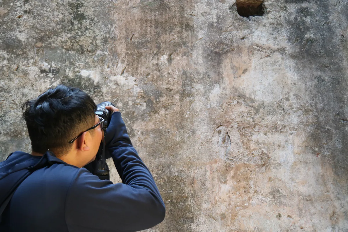 Hổ Quyền - đấu trường voi hổ v&agrave; dấu ấn quyền lực triều Nguyễn- Ảnh 5.