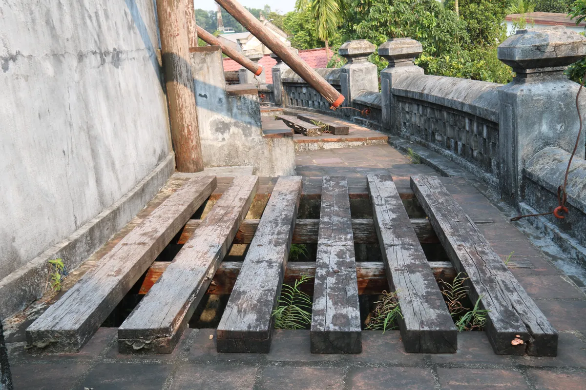 Hổ Quyền - đấu trường voi hổ v&agrave; dấu ấn quyền lực triều Nguyễn- Ảnh 7.