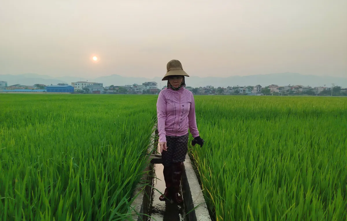 Điện Bi&ecirc;n: Chủ động ứng ph&oacute; hạn h&aacute;n, bảo đảm nước cho sản xuất n&ocirc;ng nghiệp - Ảnh 4.