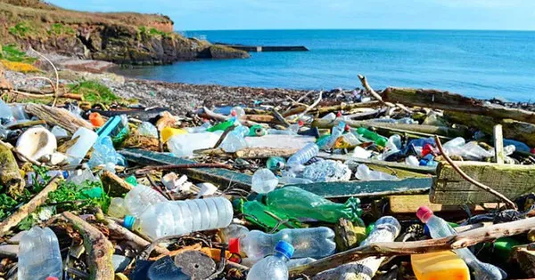 Du lịch bền vững Giảm thiểu r&aacute;c thải nhựa tại c&aacute;c điểm đến du lịch biển- Ảnh 1.