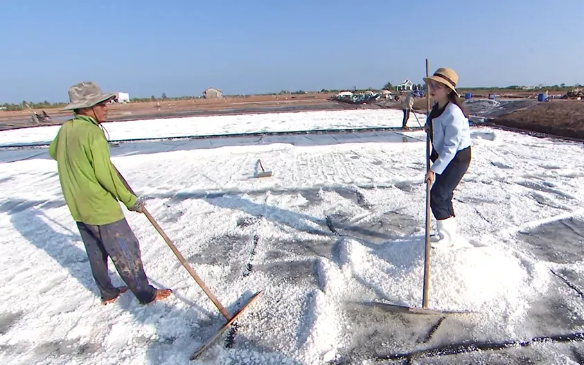 Diêm dân ở cánh đồng muối.