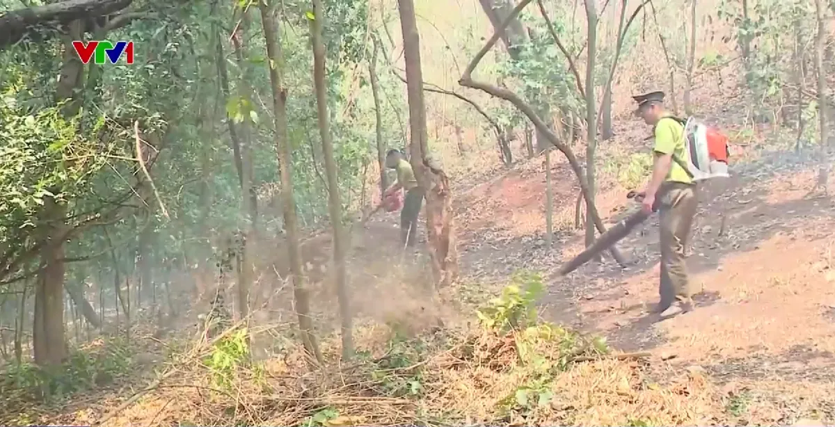 Sẵn s&agrave;ng lực lượng, phương tiện ứng ph&oacute; nguy cơ ch&aacute;y rừng ở mức b&aacute;o động - Ảnh 2.