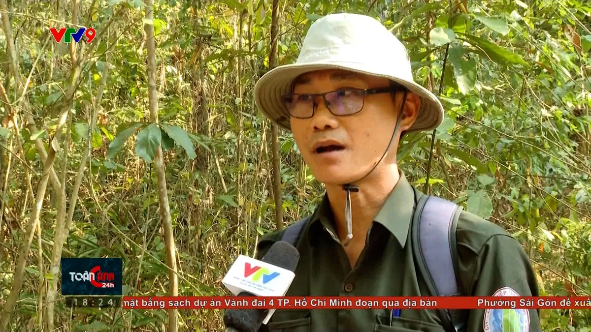 tc24h-0104-4 ng thanh duc.jpg