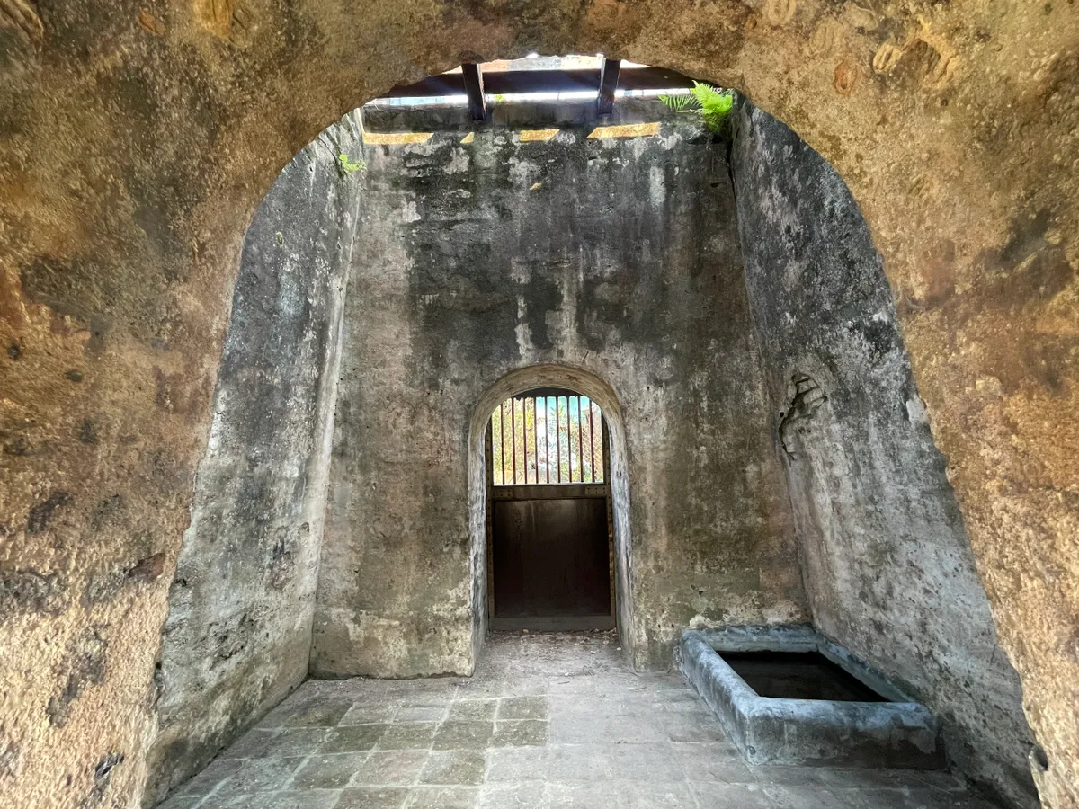 Hổ Quyền - đấu trường voi hổ v&agrave; dấu ấn quyền lực triều Nguyễn- Ảnh 6.