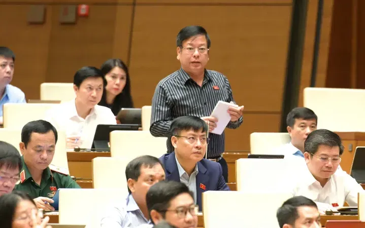 Đại biểu Nguyễn Trường Giang (Lâm Đồng) phát biểu