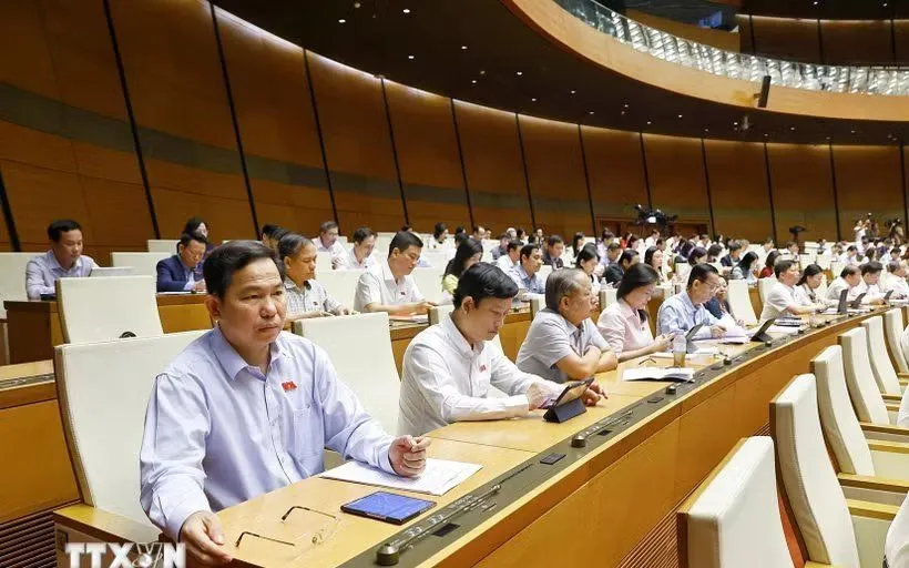 Đoàn đại biểu Quốc hội Thành phố Hồ Chí Minh dự phiên họp. (Ảnh: Doãn Tấn/TTXVN)