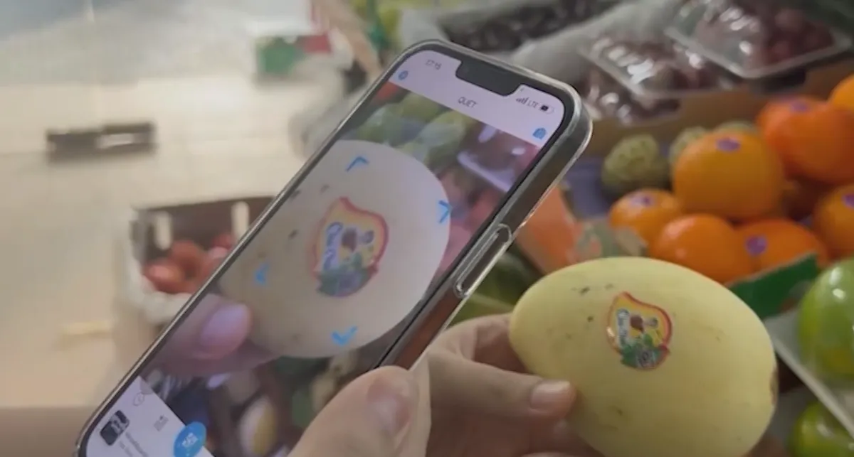 M&atilde; số v&ugrave;ng trồng, &ldquo;giấy th&ocirc;ng h&agrave;nh" cho n&ocirc;ng sản xuất khẩu- Ảnh 2.