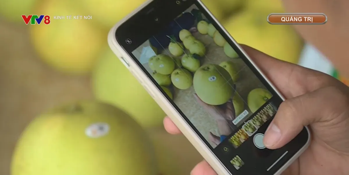 M&atilde; số v&ugrave;ng trồng, &ldquo;giấy th&ocirc;ng h&agrave;nh" cho n&ocirc;ng sản xuất khẩu- Ảnh 1.