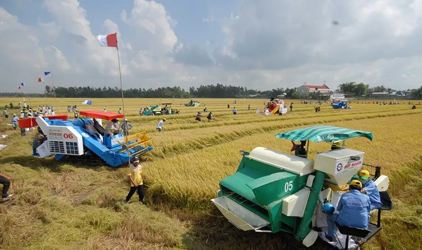 Để doanh nghiệp Đồng bằng s&ocirc;ng Cửu Long vượt kh&oacute; trước &aacute;p lực bủa v&acirc;y- Ảnh 1.