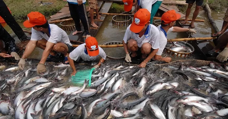 Để doanh nghiệp Đồng bằng s&ocirc;ng Cửu Long vượt kh&oacute; trước &aacute;p lực bủa v&acirc;y- Ảnh 2.