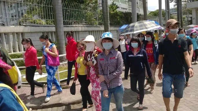 Thị trường lao động: Người t&igrave;m việc hay việc t&igrave;m người?- Ảnh 1.