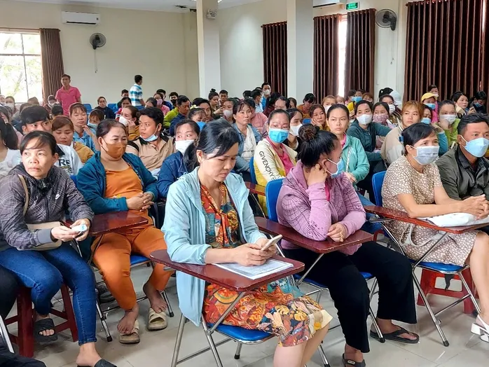 Bịt lỗ hổng nợ BHXH- Ảnh 1.