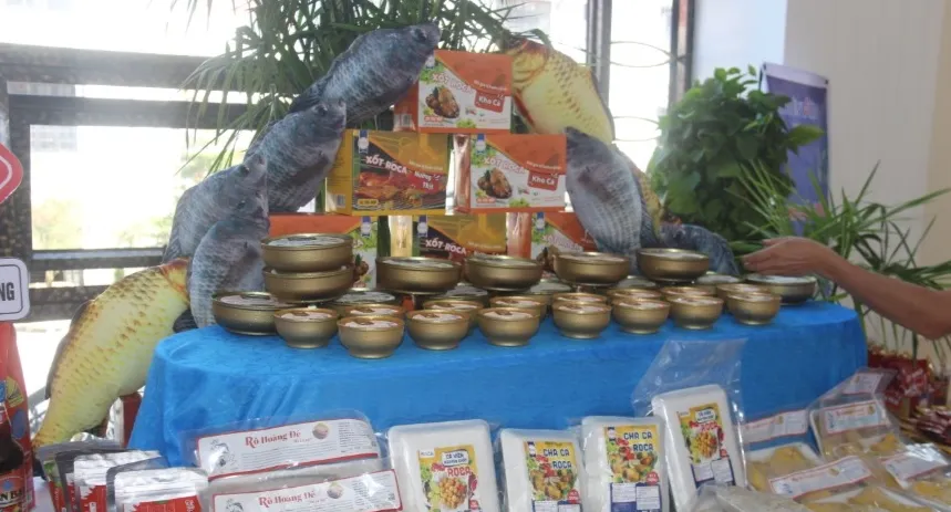 C&aacute; r&ocirc; phi c&oacute; tiềm năng th&agrave;nh mặt h&agrave;ng xuất khẩu chủ lực- Ảnh 3.