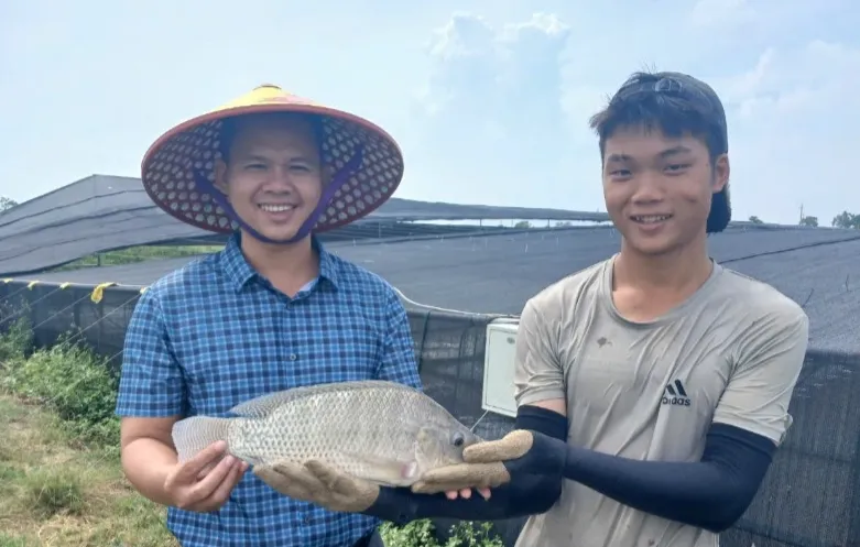 C&aacute; r&ocirc; phi c&oacute; tiềm năng th&agrave;nh mặt h&agrave;ng xuất khẩu chủ lực- Ảnh 2.