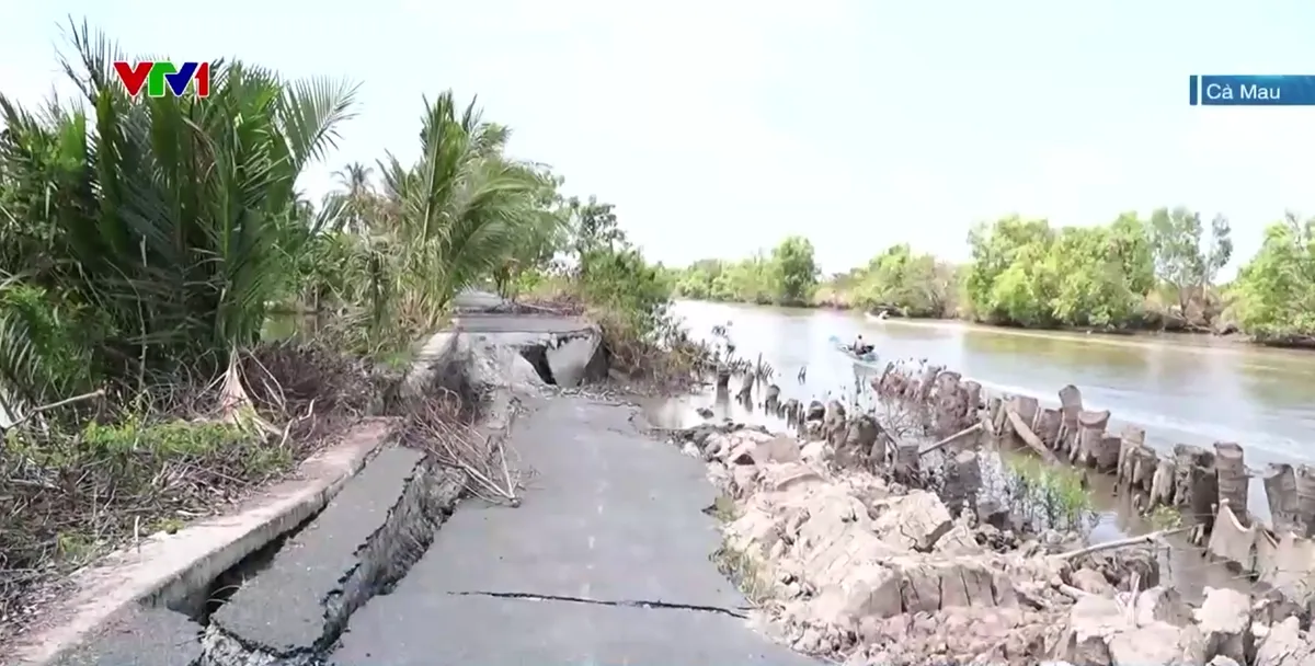 C&agrave; Mau: Sụt l&uacute;n nghi&ecirc;m trọng đường giao th&ocirc;ng n&ocirc;ng th&ocirc;n tại huyện C&aacute;i Nước - Ảnh 1.