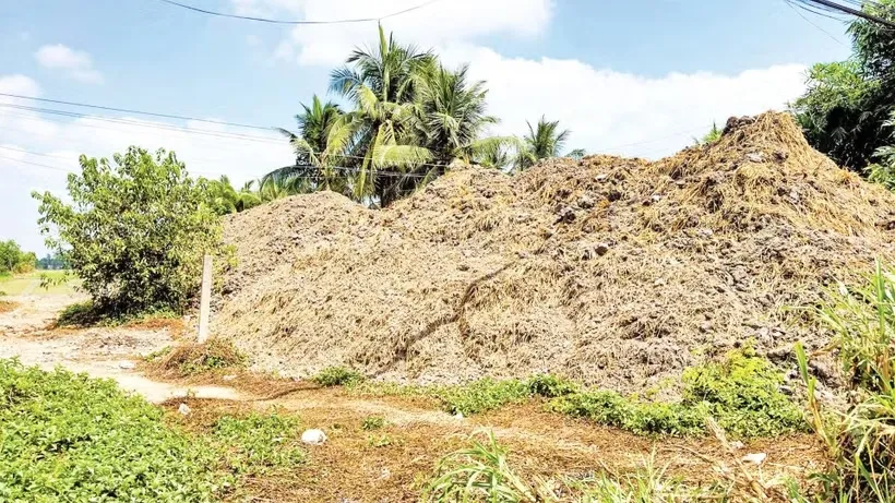Ngăn chặn t&igrave;nh trạng khai th&aacute;c tr&aacute;i ph&eacute;p đất mặt ruộng- Ảnh 1.