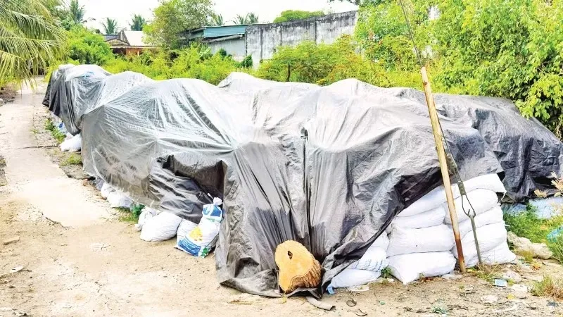 Ngăn chặn t&igrave;nh trạng khai th&aacute;c tr&aacute;i ph&eacute;p đất mặt ruộng- Ảnh 2.