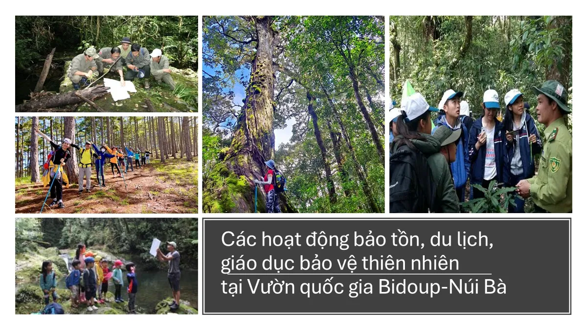 Lời nhắn từ rừng già và bài toán kinh tế trách nhiệm- Ảnh 1. Lời nhắn từ rừng già và bài toán kinh tế trách nhiệm- Ảnh 1.