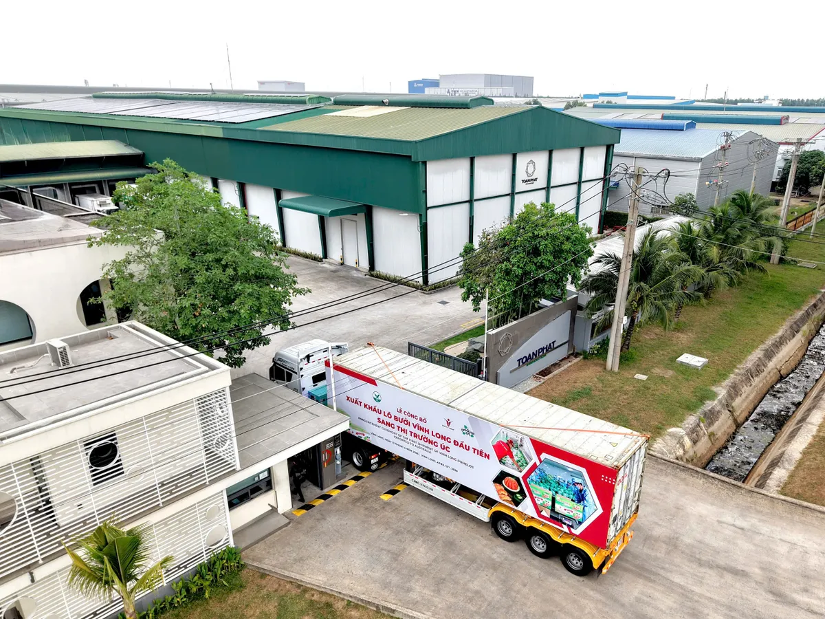 Kinh nghiệm v&agrave; kỳ vọng từ l&ocirc; bưởi đầu ti&ecirc;n xuất khẩu sang &Uacute;c - Ảnh 2.