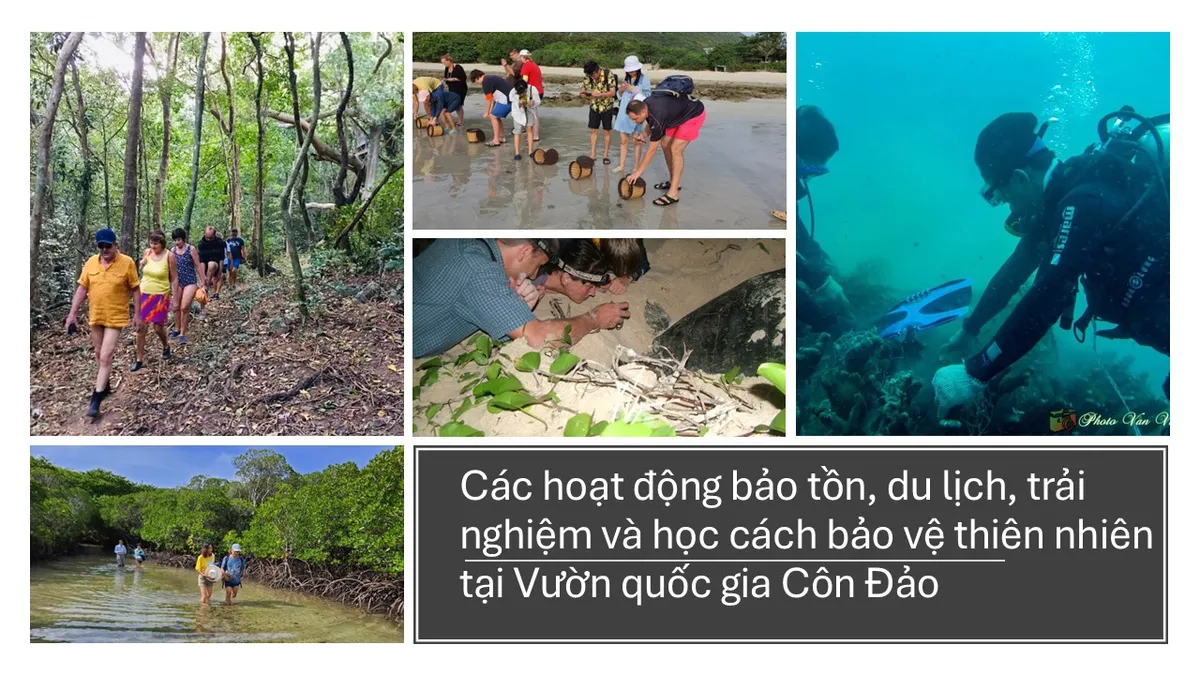 Lời nhắn từ rừng già và bài toán kinh tế trách nhiệm- Ảnh 2. Lời nhắn từ rừng già và bài toán kinh tế trách nhiệm- Ảnh 2.