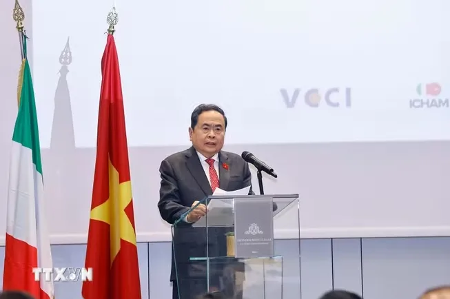 Th&uacute;c đẩy hợp t&aacute;c kinh tế, thương mại v&agrave; đầu tư bền vững giữa Việt Nam-Italy - Ảnh 3.