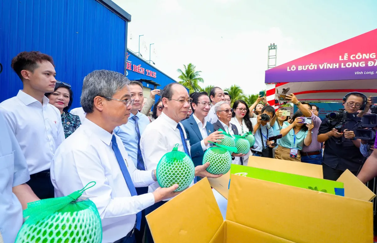 Kinh nghiệm v&agrave; kỳ vọng từ l&ocirc; bưởi đầu ti&ecirc;n xuất khẩu sang &Uacute;c - Ảnh 1.